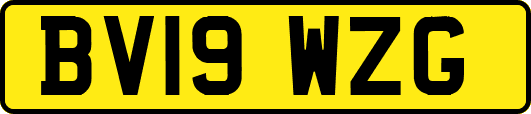 BV19WZG