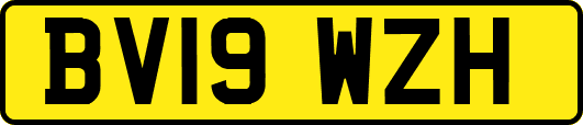 BV19WZH