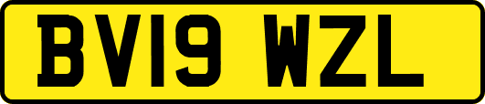 BV19WZL