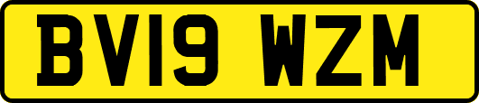 BV19WZM