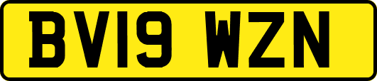 BV19WZN