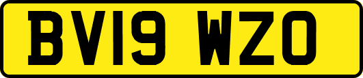 BV19WZO