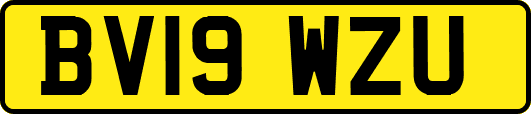 BV19WZU