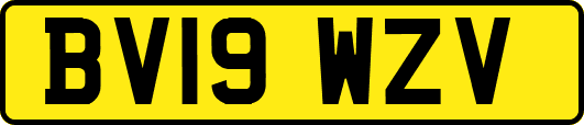 BV19WZV