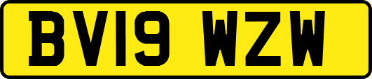 BV19WZW