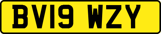 BV19WZY