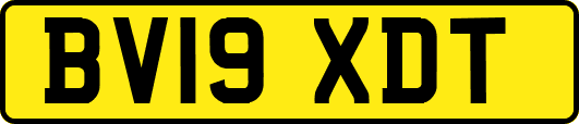 BV19XDT