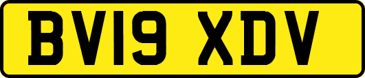 BV19XDV