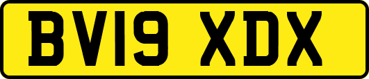 BV19XDX