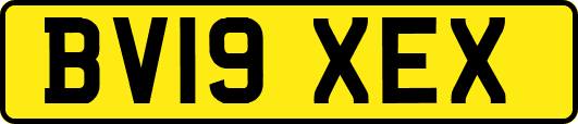 BV19XEX
