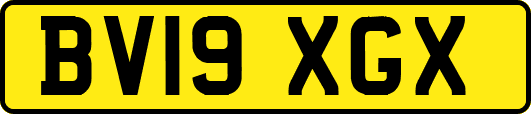 BV19XGX