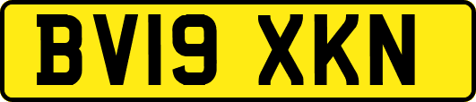 BV19XKN