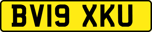 BV19XKU
