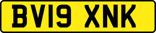 BV19XNK