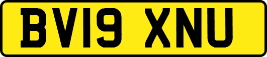 BV19XNU