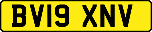 BV19XNV
