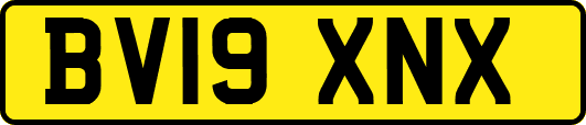 BV19XNX