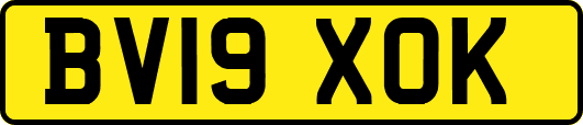 BV19XOK