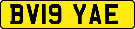 BV19YAE