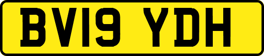 BV19YDH