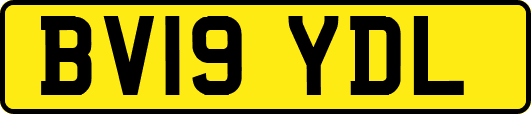 BV19YDL