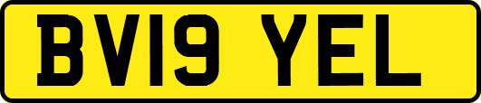 BV19YEL