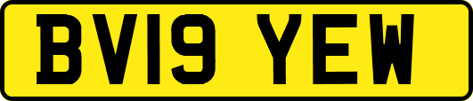 BV19YEW