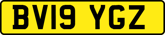 BV19YGZ
