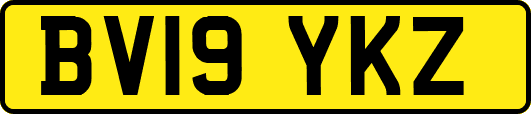 BV19YKZ