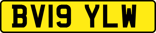 BV19YLW