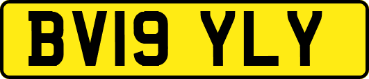 BV19YLY