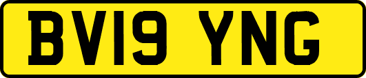BV19YNG