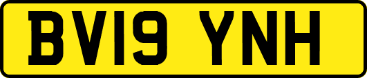 BV19YNH