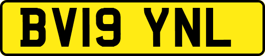 BV19YNL