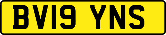 BV19YNS