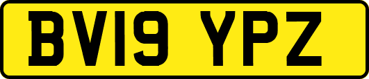 BV19YPZ