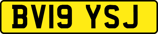 BV19YSJ
