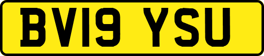 BV19YSU