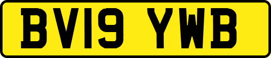 BV19YWB