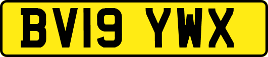 BV19YWX