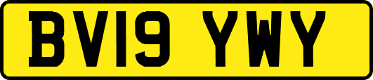 BV19YWY