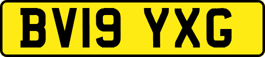 BV19YXG