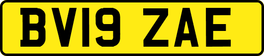 BV19ZAE