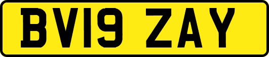 BV19ZAY