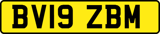 BV19ZBM