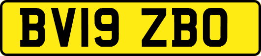 BV19ZBO