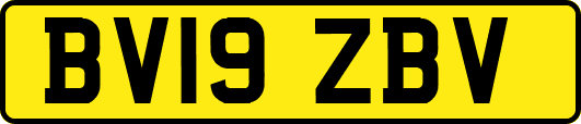 BV19ZBV