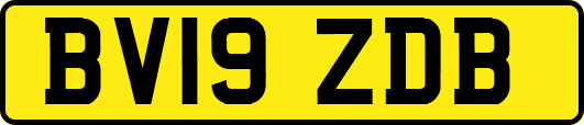 BV19ZDB