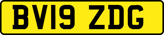 BV19ZDG