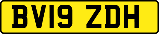 BV19ZDH